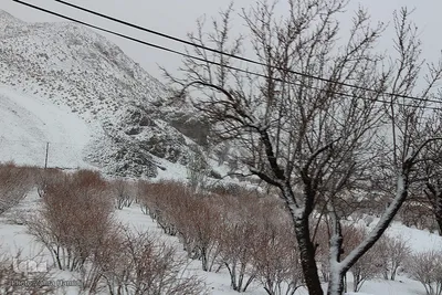 روستاهای سفیدپوش «قهستان»