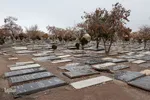 پاییز در قبرستان قدیمی زنجان