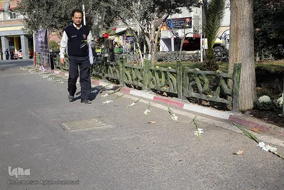 در سوگ آتش نشانان جانفشان