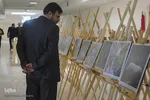 همایش ملی پیشگیری از آسیب های اجتماعی 