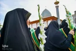 گلباران حرم شاهچراغ در شب ولادت امام رضا( ع‎‎)