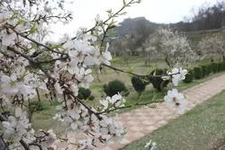 بھار کے قرآنی اشارے اور قیامت کی یاد