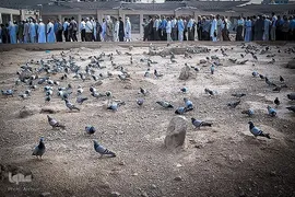 قبرستان بقیع در مدینه منوره