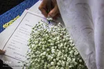 جشن عقد در سومین حرم اهل بیت‎‎