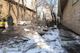 تهران چهار روز پس از بحران بارش برف 