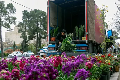 بازار گل شیراز‎‎ در آستانه سال نو