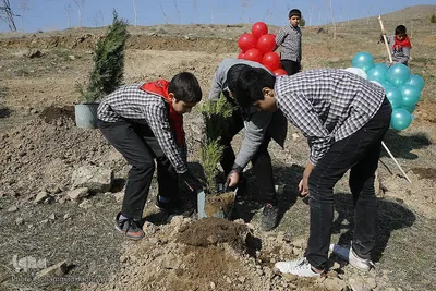 آئین روز درختکاری در البرز