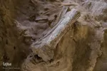 مراغه بهشت پستانداران ماقبل تاریخ‎‎