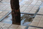 بیرجند پس از باران