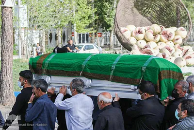 مراسم استقبال از پیکر مطهر آیت الله فقیه در شهرستان های سروستان و استهبان فارس