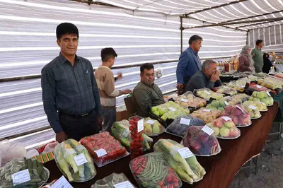 چهارمین جشنواره ملی شوسواره ارسباران جام شهدای اقتدار در اهر