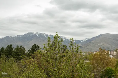 طبیعت بهاری تهران