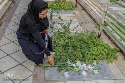 ادای احترام خبرنگاران شیراز به مقام شامخ شهدا