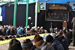 Gedenkfeier zu Ehren des Märtyrers General Soleimani in Kargil + Bilder