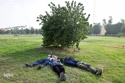 زندگی در دانشگاه