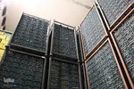 صادرات سیر؛ محصول پرخاصیت و معروف همدان