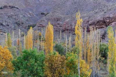 پاییز زیبای طالقان