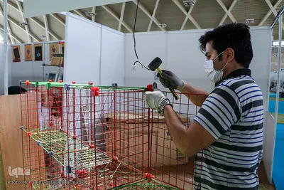  سی‌امین نمایشگاه بین‌المللی کتاب تهران