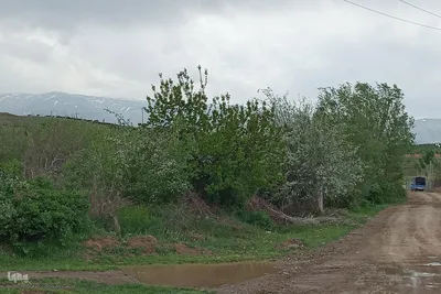 طبیعت بهاری رودخانه اهرچای در شهرستان اهر