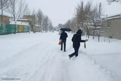 بارش شدید برف در اهر