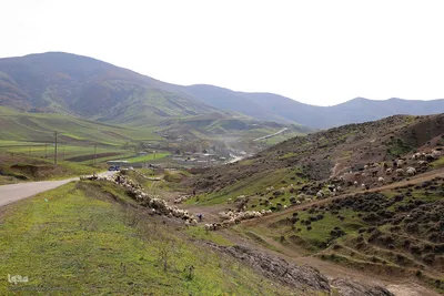 طبیعت پاییزی منطقه جنگلی تنباکولوی هوراند