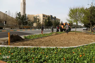 مشهد در آستانه نوروز ۱۴۰۱