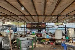 نجف اشرف؛ اربعین کے حوالے سے موکبوں کی تیاریاں
