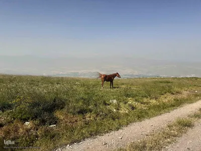 طبیعت زیبای قوشاداغ در اهر