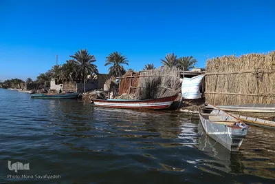 تالاب شادگان