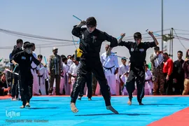 بسیجی، بهار آفرین چهار فصل آزادی