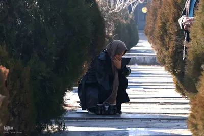 لیلةالرغائب در وادی رحمت تبریز