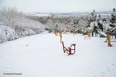 تبریز سپید پوش