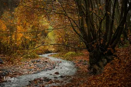 پاییز در جاغرق