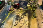 جشن میلاد امام رضا(ع) در آستان امامزاده شاهرضا(ع)