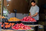 برداشت انارِ «قصردشت» شیراز‎