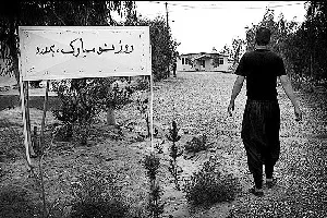 اشتغال پایدار برای بهبودیافتگان از اعتیاد در همدان