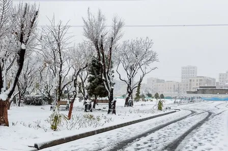 جزئیات تعطیلی مدارس شهر تهران در روز دوشنبه