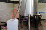 برداشت گل محمدی از مزارع هیدج