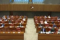 فرانس میں گستاخانہ خاکوں کے خلاف سینیٹ میں مذمتی قرارداد منظور