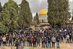 Halartan Falasdinawa 50,000 a Sallar Juma'a a Masallacin Al-Aqsa