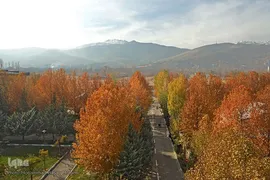 برگریزان پاییزی در همدان