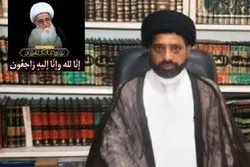 حضرت آیت اللہ العظمی لطف اللہ صافی کی رحلت ملت تشیع کے لیے ناقابل تلافی نقصان ہے، ڈاکٹر سید محمد نجفی