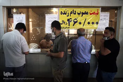 بازار عرضه دام سبک «آزادگان» شهرداری تهران در عید سعید قربان