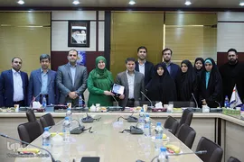 نشست یکپارچه‌سازی مفاهیم و معنویت اسلامی در مدیریت اختلالات افسردگی
