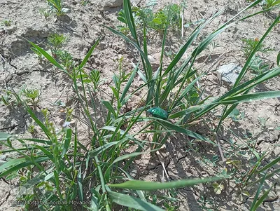 طبیعت زیبا و سحرانگیز مناطق گردشگری و روستایی اهر