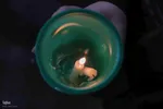 عزاداری شام غریبان امام حسین(ع) در تبریز‎