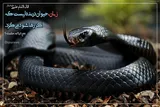 حدیث‌نگاشت/ درندگی زبان