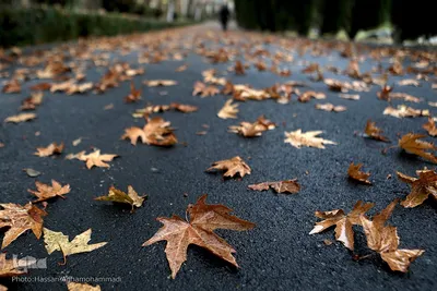اولین باران زمستانی تهران