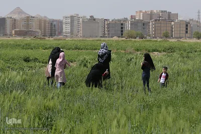 روز طبیعت با چاشنی کرونا
