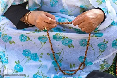 نماز عید فطر در امامزادگان محمد (َع) و سکینه خاتون (س) کرج‎‎
